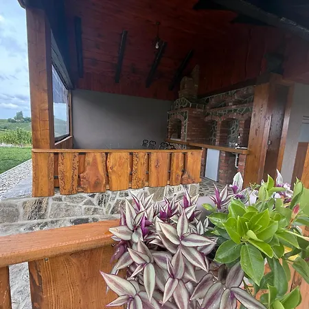 Apartma Viktor Daire *