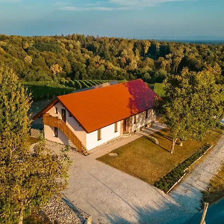 Daire Apartma Viktor Ormoz